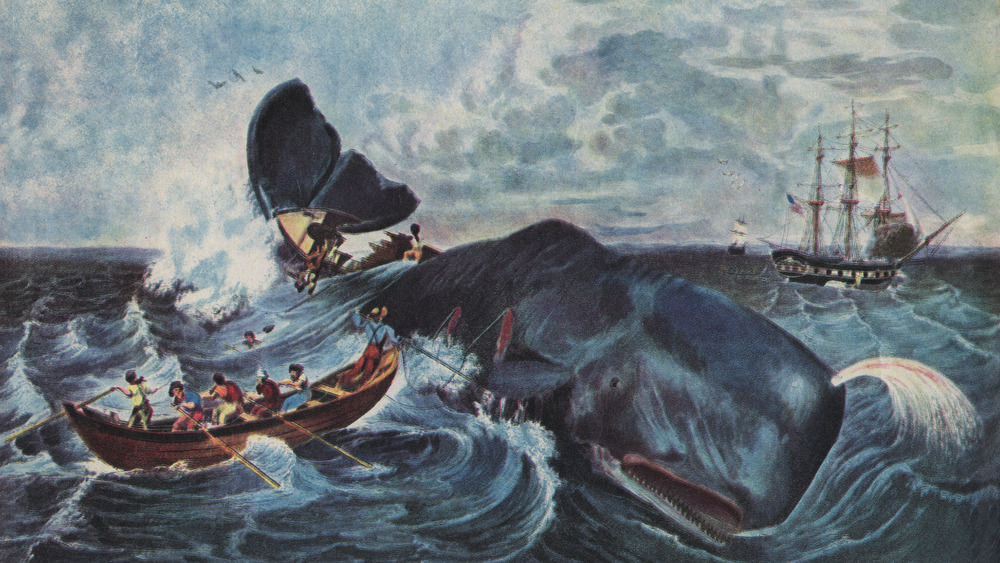 19th century whalers capturing a whale