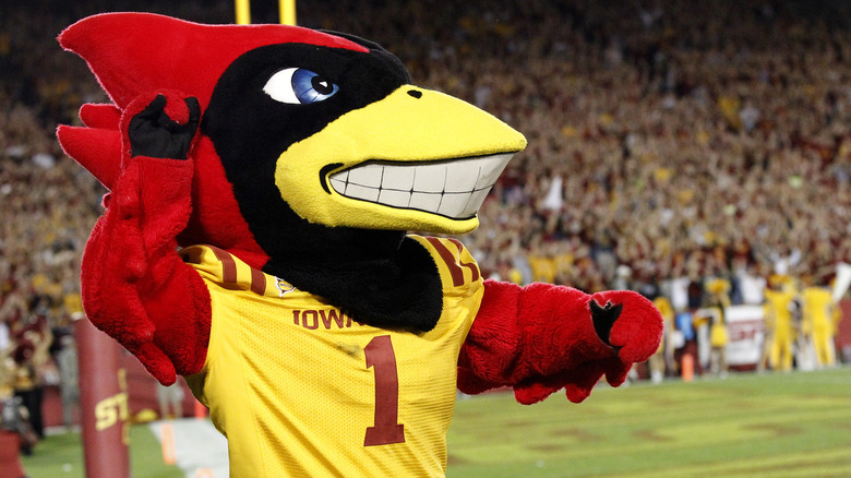 Iowa State University's Cy waving