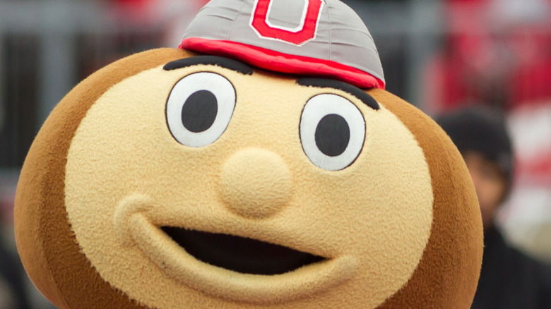 ohio state university mascot brutus buckeyes