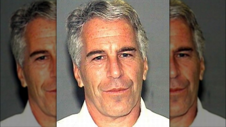 Jeffrey Epstein mugshot