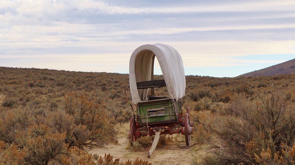 Covered Wagon