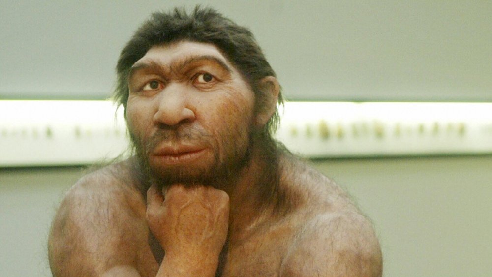 Neanderthal 