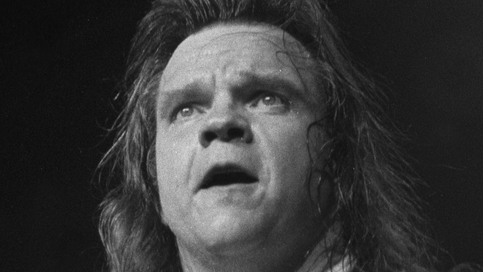 What Meat Loaf's I'd Do Anything For Love Really Means