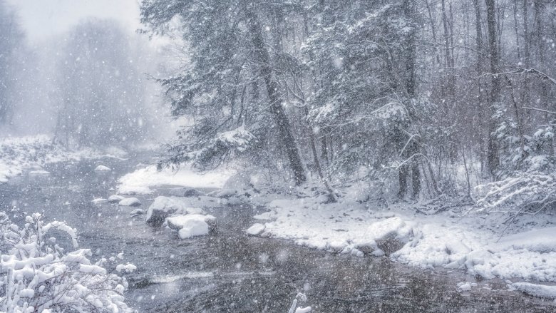 Blizzard