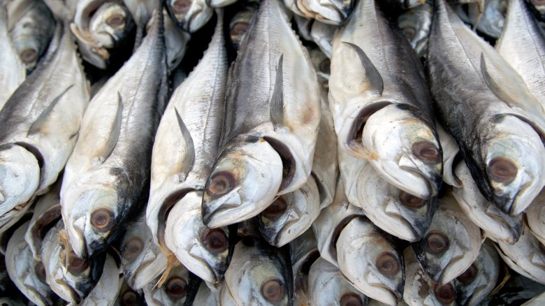 Fish