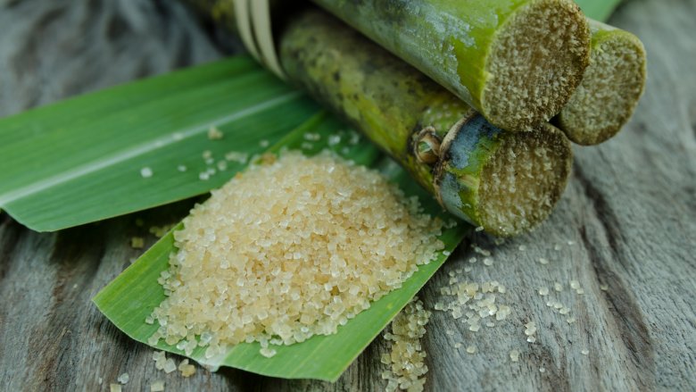 Sugar cane
