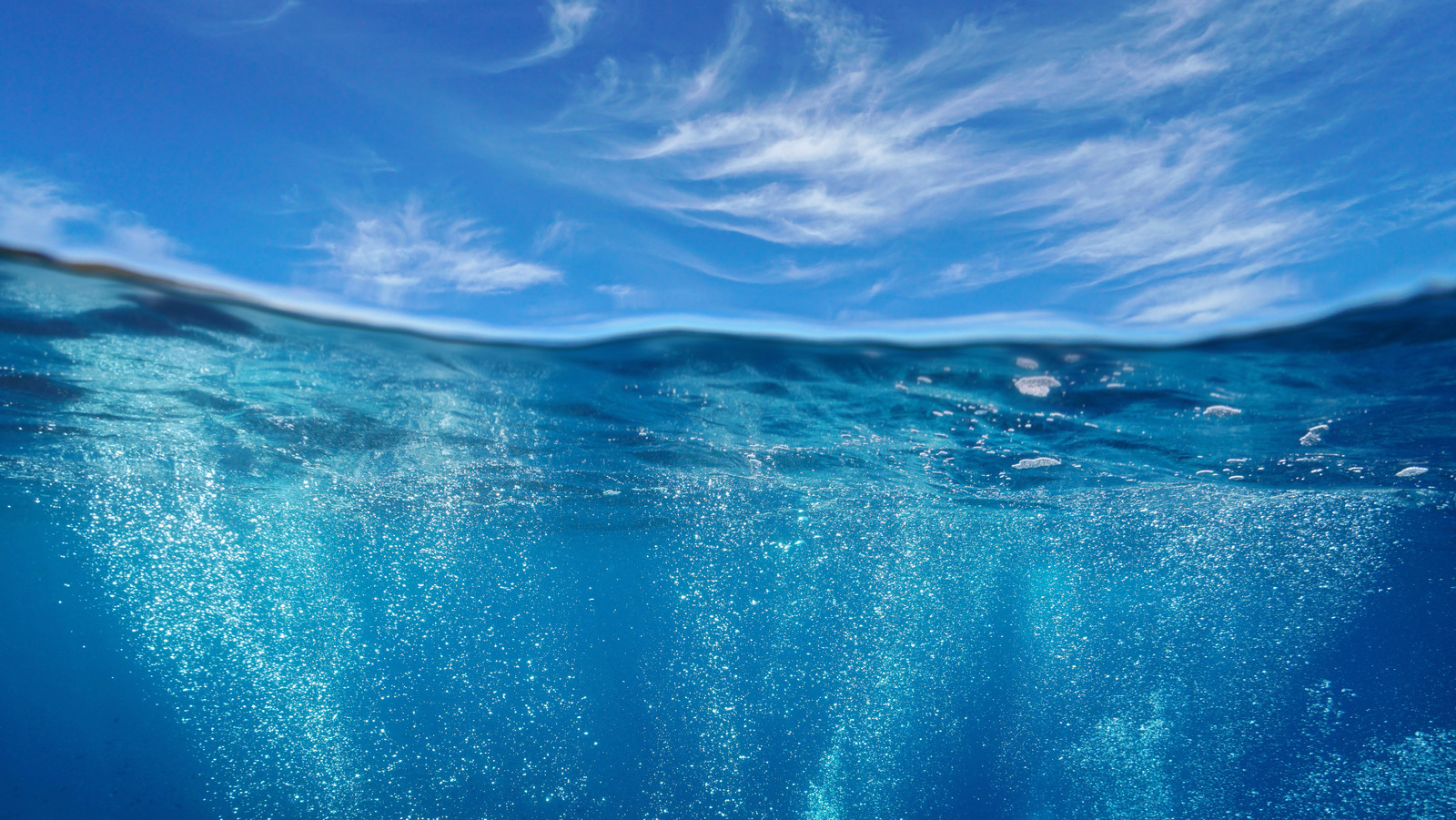 What Really Causes A Fear Of The Ocean