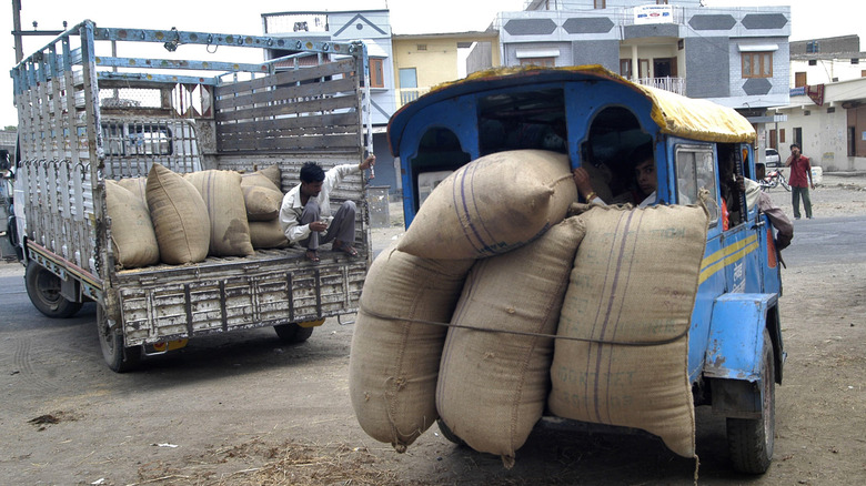 Farmer transporting goods  