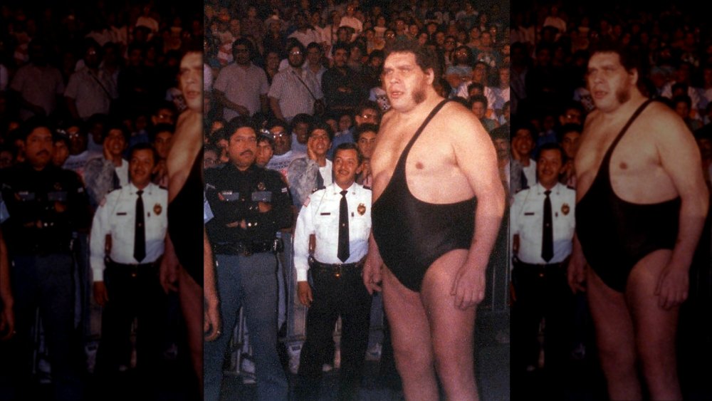 Andre the Giant