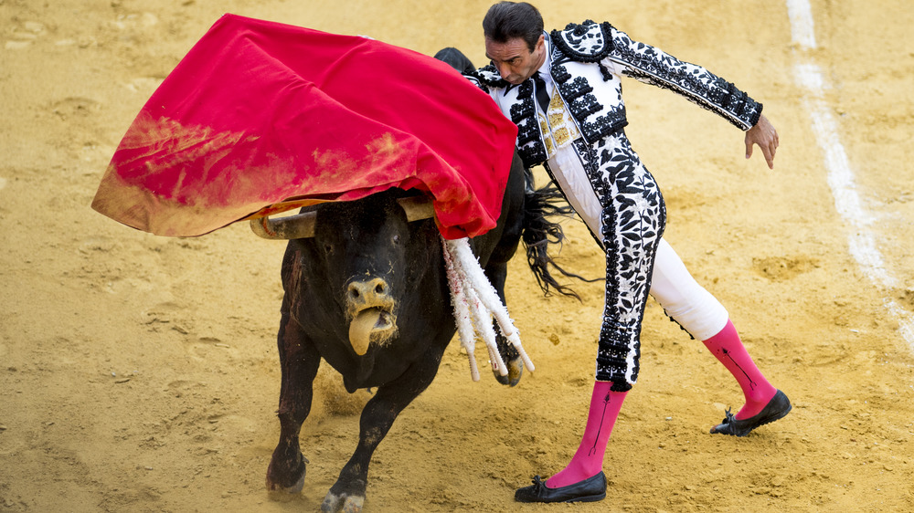 matador fighting bull, bullfighting match