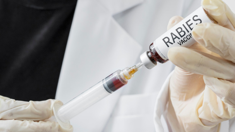 Doctor holding rabies vaccine