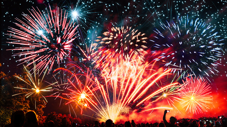 Crowd enjoying fireworks