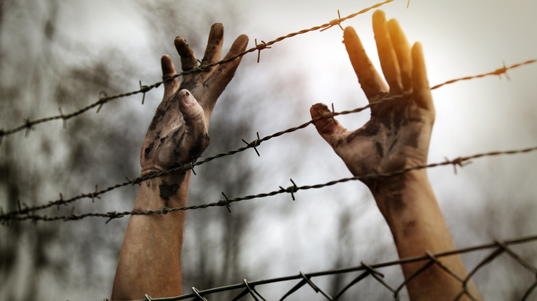 soiled hands stretch past fencing