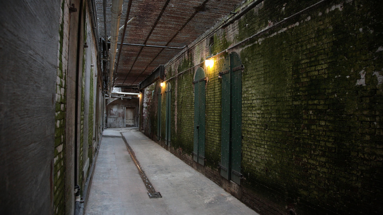 Hallway of solitary confinement cells 