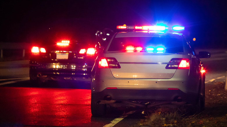 Police traffic stop