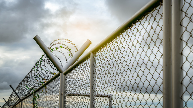 Prison fence 