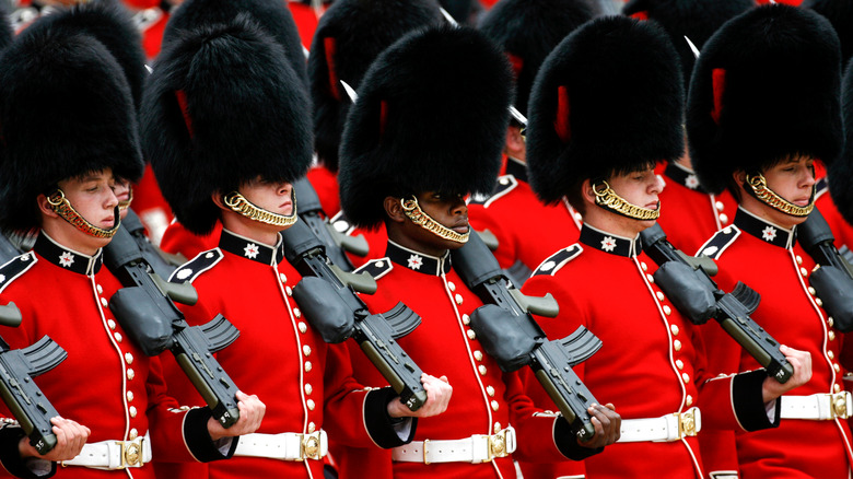 royal guard bearskin