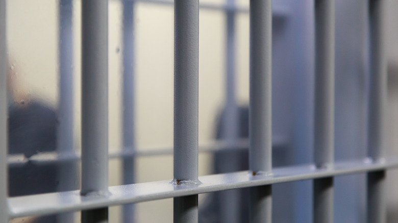 Prison cell bars