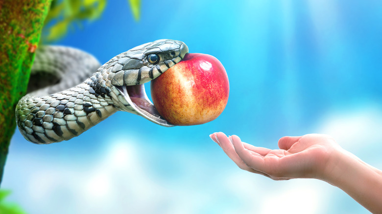 Snake offering an apple