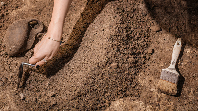 archaeologist digging with hand trowel