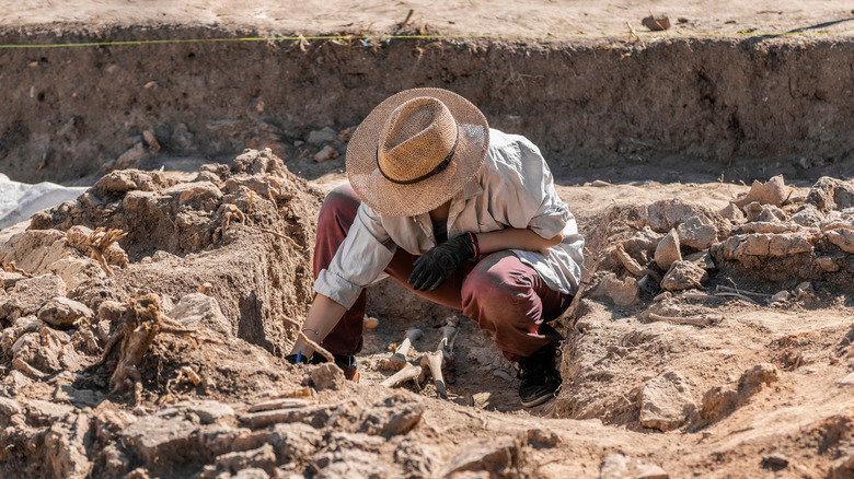 Archaeologist at excavation
