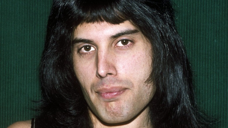 Freddie Mercury 