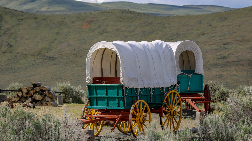 oregon trail wagons in front of hillside