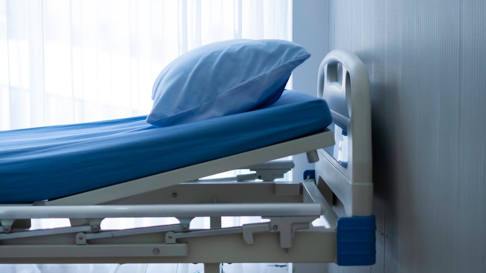 What Was The Final Day Of Amy Allan's Life Like?