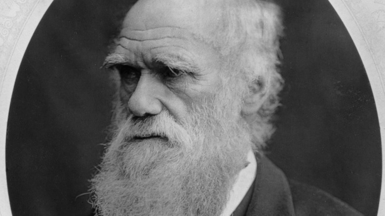 charles darwin