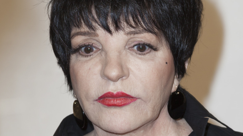 Singer and actress Liza Minnelli
