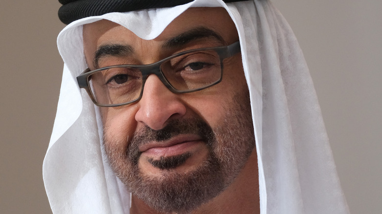 Sheikh Mohammed bin Zayed
