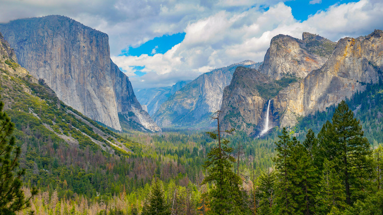 Yosemite National Park
