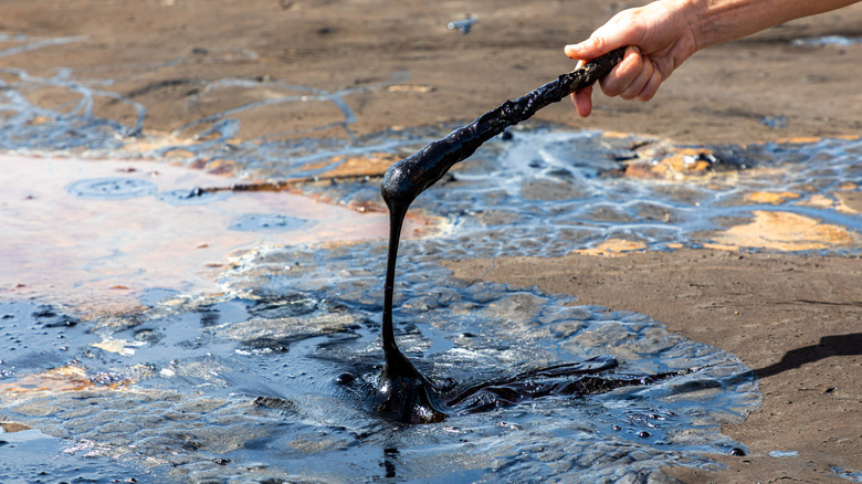 La Brea Tar Pits