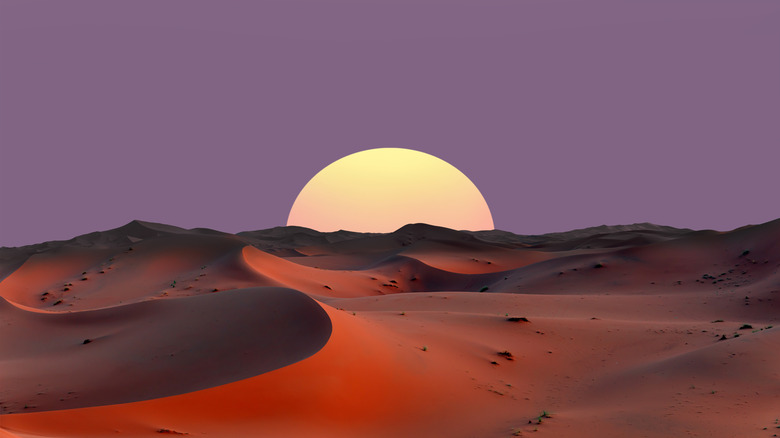 Moroccan sand dunes in Sahara desert with large setting sun.