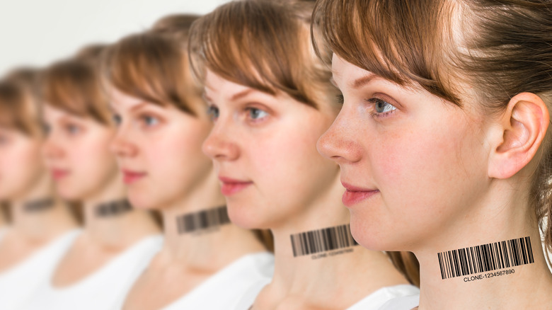 female clones with bar codes
