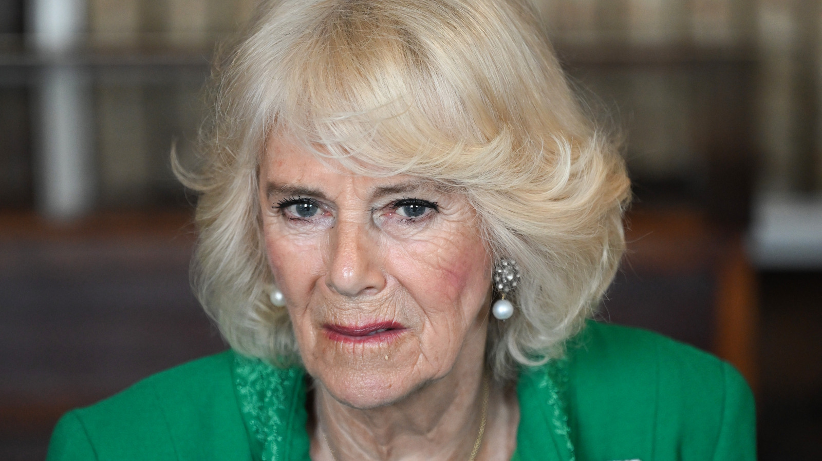 What You Can Expect If King Charles Dies Before Camilla – Grunge