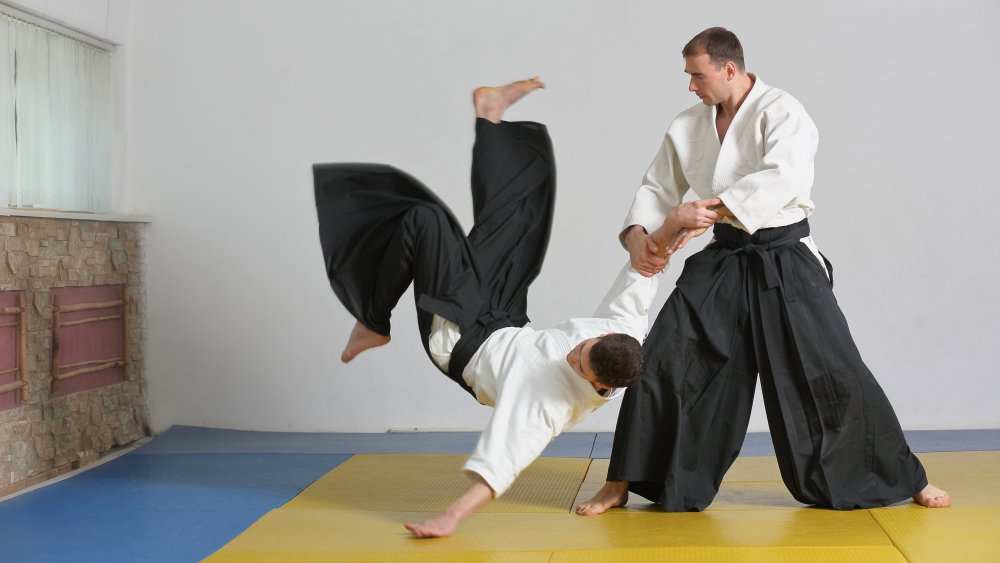 Aikido practitioners 