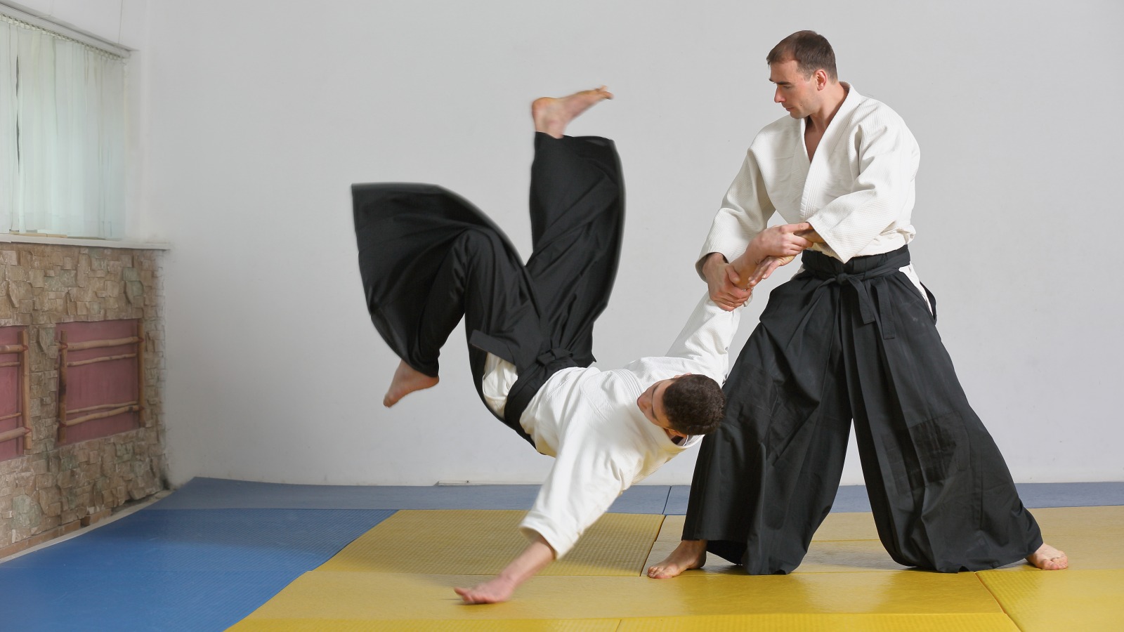 what-you-didn-t-know-about-aikido