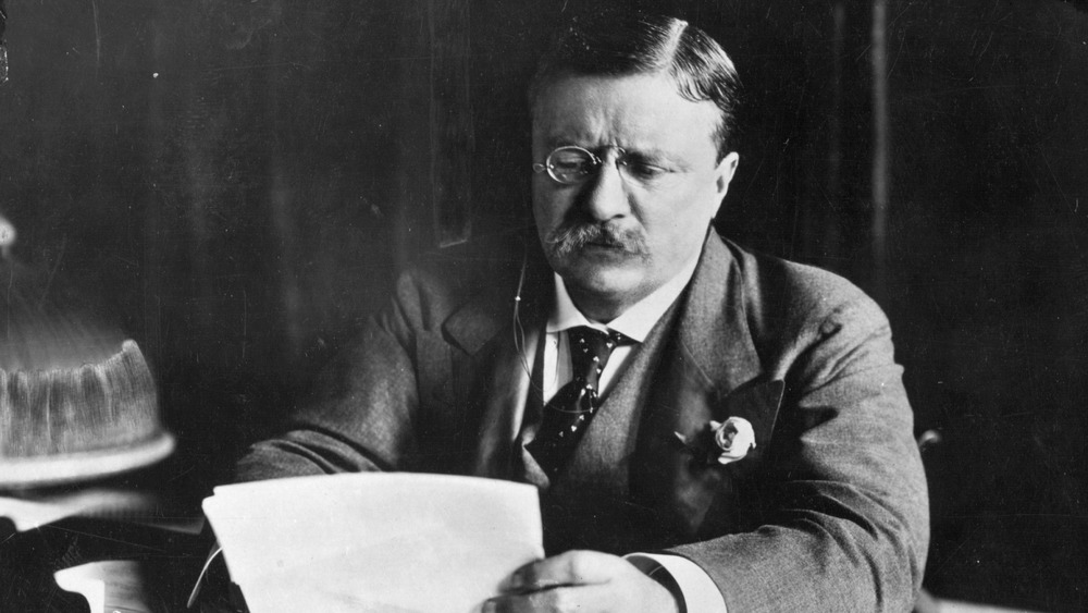 Teddy Roosevelt papers