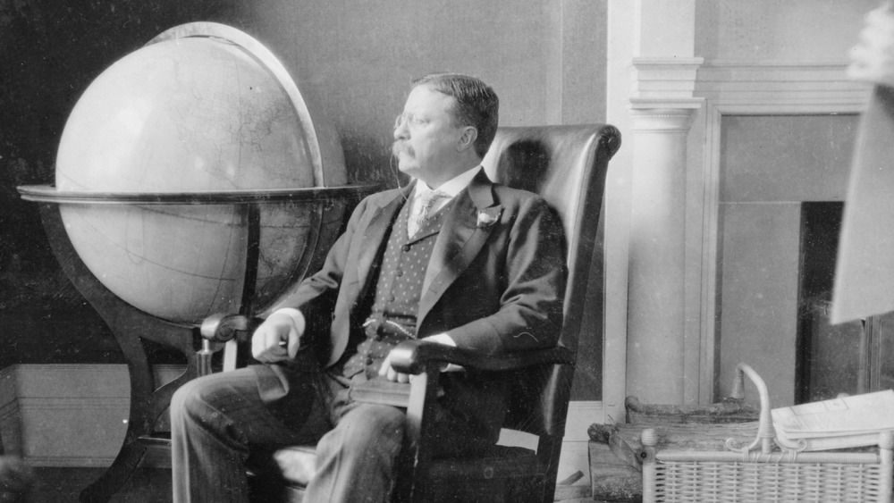Teddy Roosevelt sits