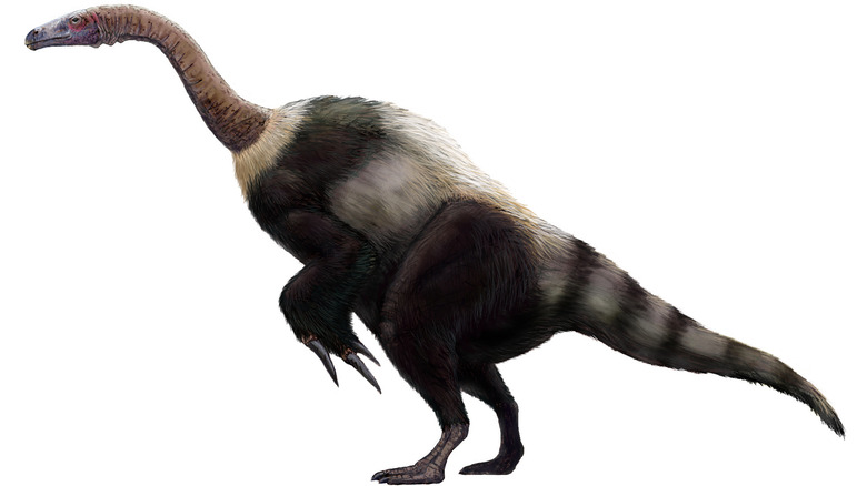 Suzhousaurus dinosaur
