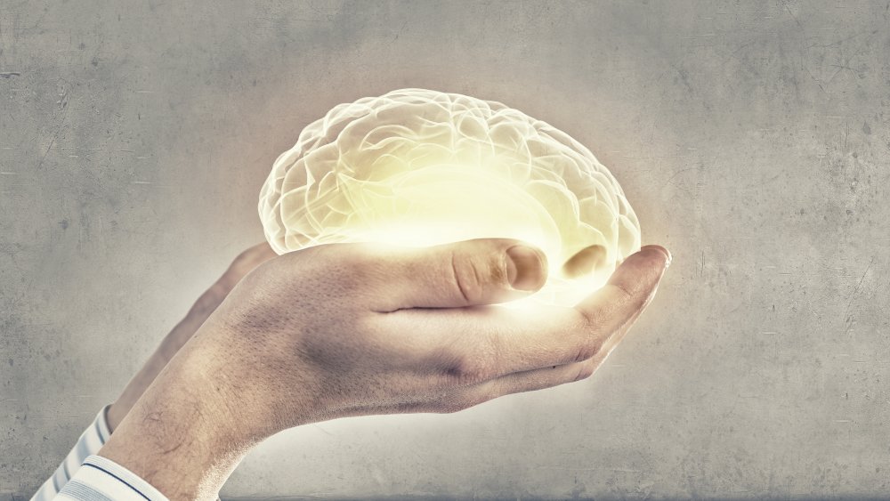 hand holding brain