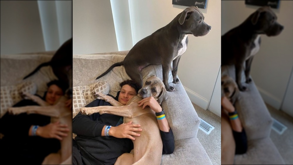 Patrick Mahomes with his dogs