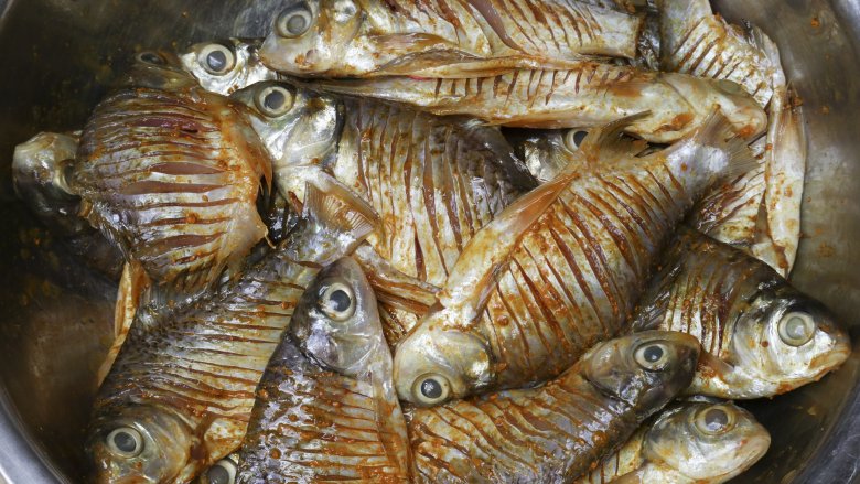 fish
