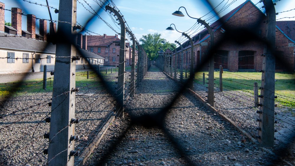 auschwitz fence