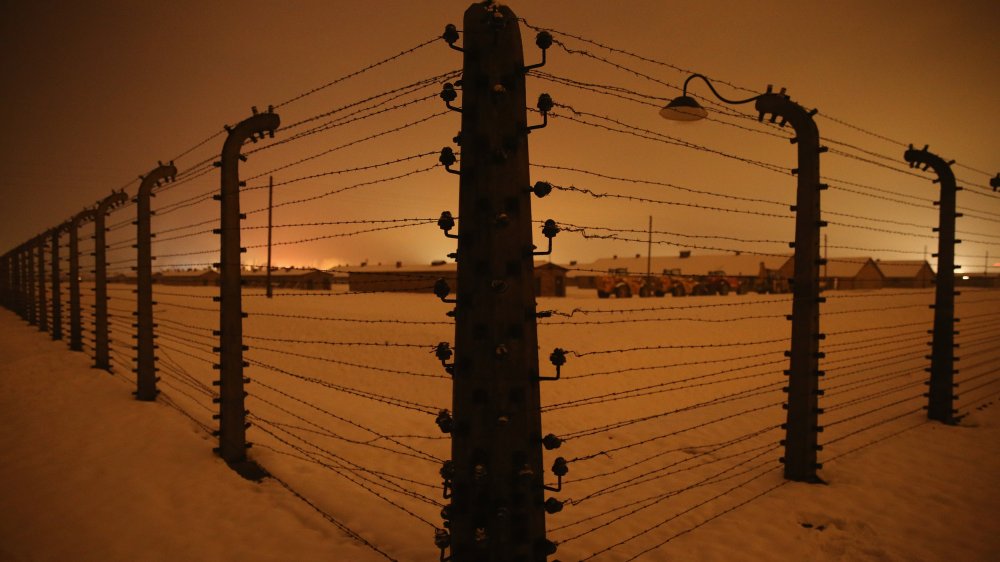 auschwitz fence