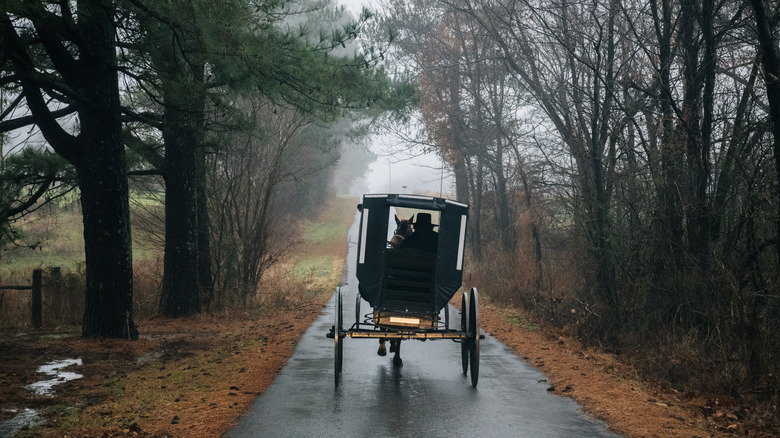 amish wagon woods