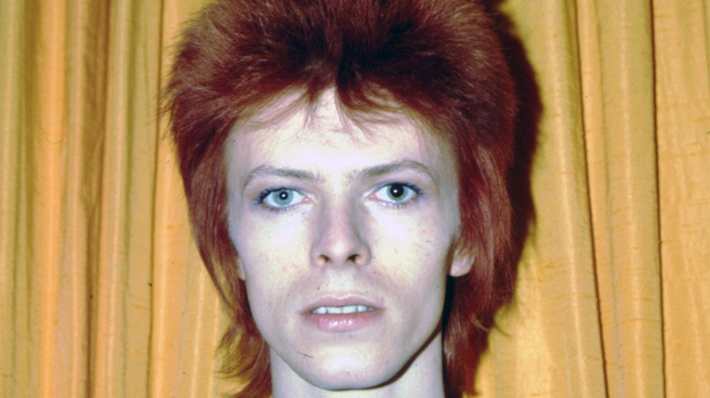 David Bowie as Ziggy Stardust