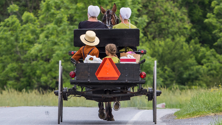 Amish family