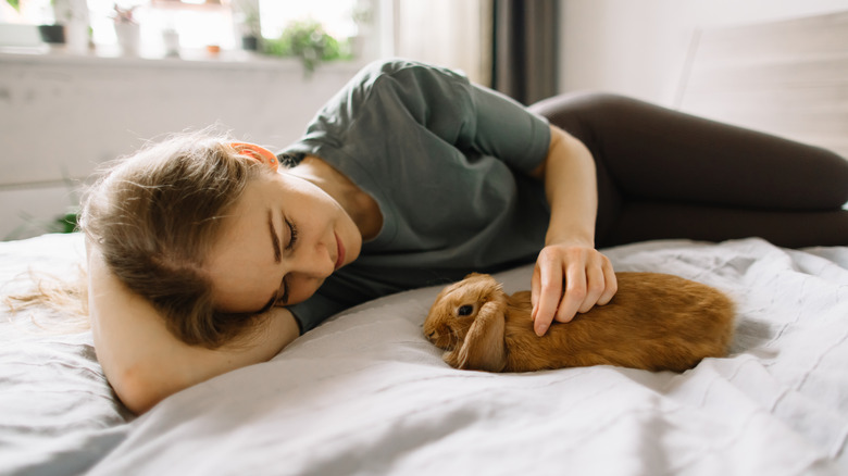 Woman lying on bed petting pet rabbit
